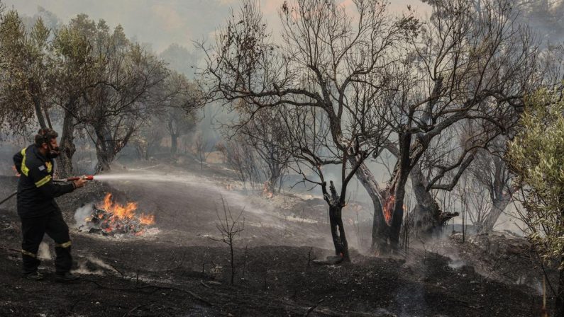 Incendi in Grecia, morti tre vigili del fuoco: due sono bruciati vivi nell’auto intrappolati nelle fiamme