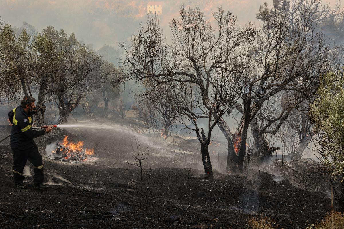 https://www.quotidianodelsud.it/wp-content/uploads/2026/07/grecia-incendio-1-afp.jpeg
