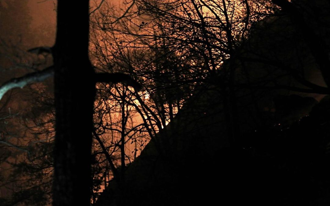 Incendi, Vigili del fuoco al lavoro dal Piemonte al Sud: “Bruciati +15% ettari rispetto a scorso anno”