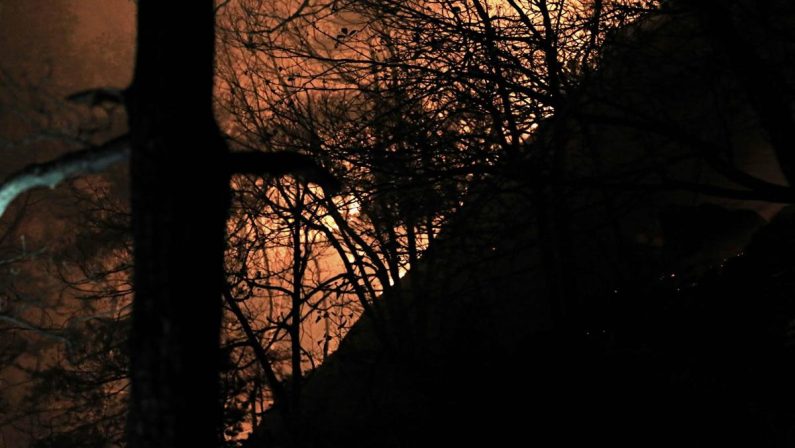 Incendi, Vigili del fuoco al lavoro dal Piemonte al Sud: “Bruciati +15% ettari rispetto a scorso anno”