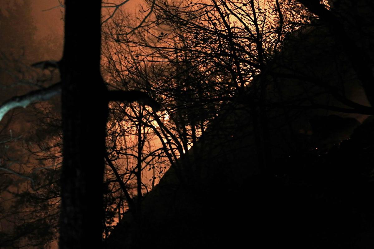 https://www.quotidianodelsud.it/wp-content/uploads/2026/07/grosso-incendio-che-da-alcuni-giorni-sta-devastando-i-boschi-della-val-vigezzo-tra-piemonte-e-lombardia-nella-provincia-di-verbania.jpeg