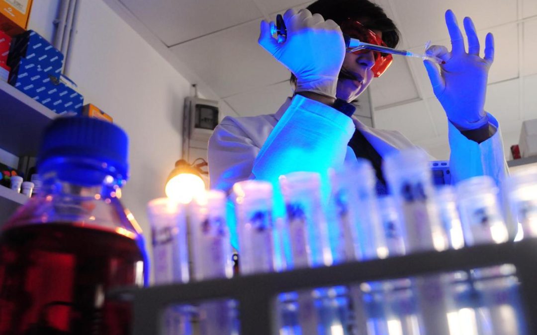 Storia genetica di un superbatterio killer, così l’Acinetobacter baumannii è diventato invulnerabile