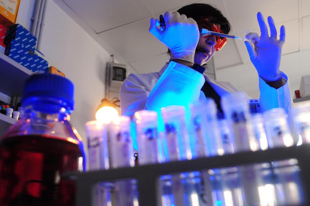 https://www.quotidianodelsud.it/wp-content/uploads/2026/07/ifom-fondazione-istituto-di-oncologia-molecolare.jpeg