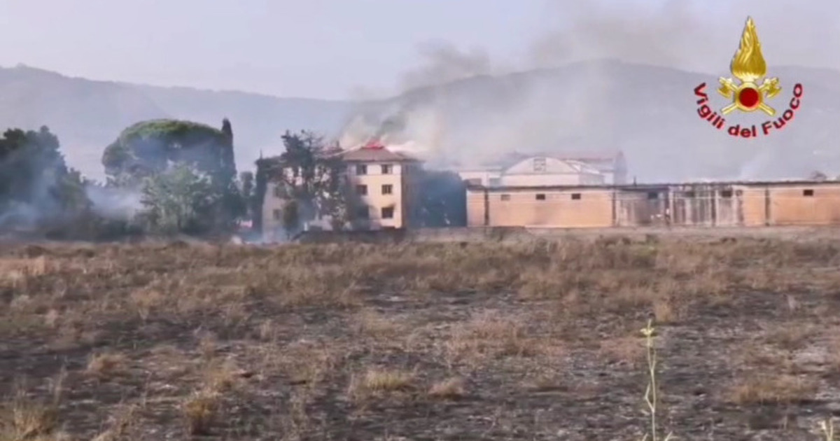 https://www.quotidianodelsud.it/wp-content/uploads/2026/07/incendio-a-lamezia-terme.jpg
