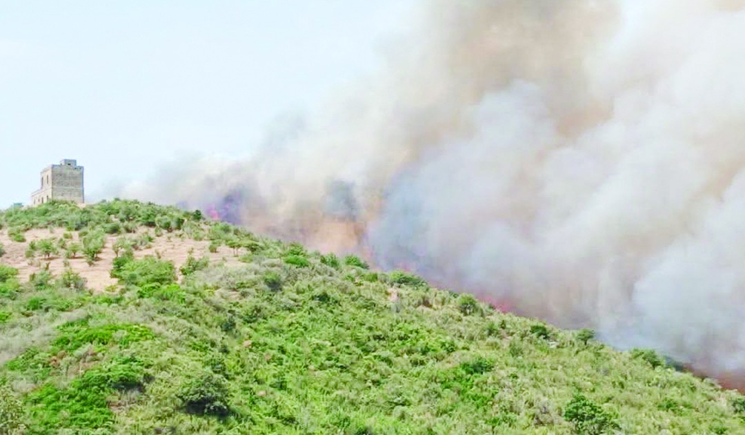 Le fiamme che hanno colpito l’area del Cirotano