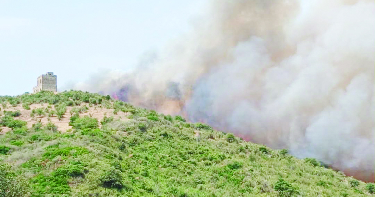https://www.quotidianodelsud.it/wp-content/uploads/2026/07/incendio-area-del-cirotano.jpg