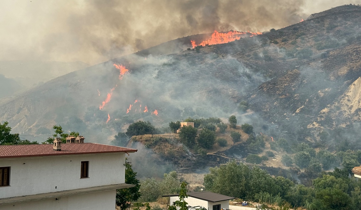 https://www.quotidianodelsud.it/wp-content/uploads/2026/07/incendio-cassano.jpg