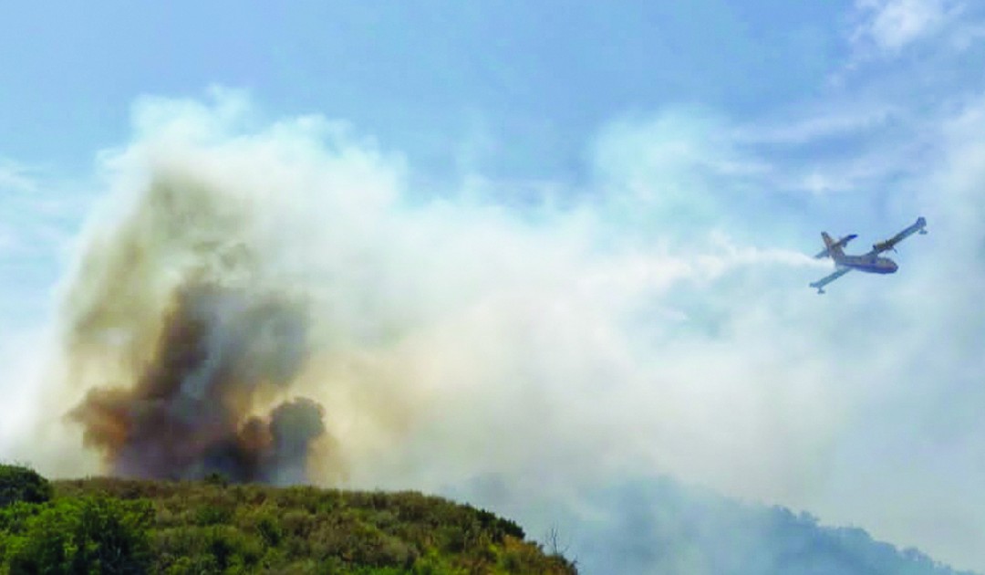 Incendi, la pioggia salva Cirò, danni per 1,5 milioni