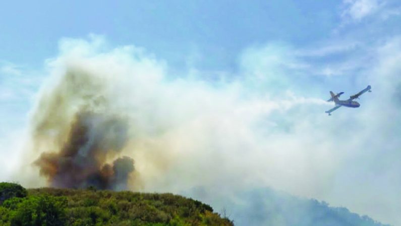 Incendi, la pioggia salva Cirò, danni per 1,5 milioni