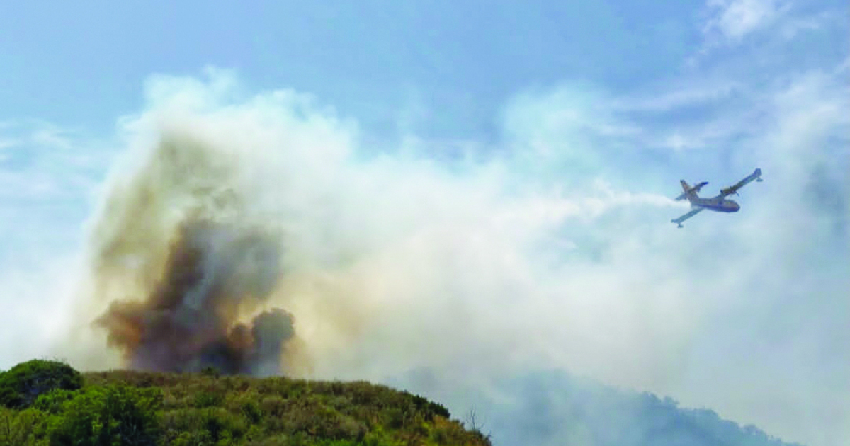 https://www.quotidianodelsud.it/wp-content/uploads/2026/07/incendio-ciro.jpg