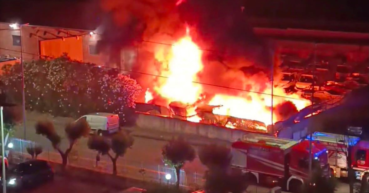 https://www.quotidianodelsud.it/wp-content/uploads/2026/07/incendio-ecologia-oggi.jpg