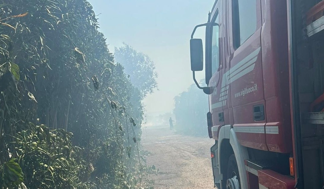 I vigili del fuoco durante le operazioni di spegnimento
