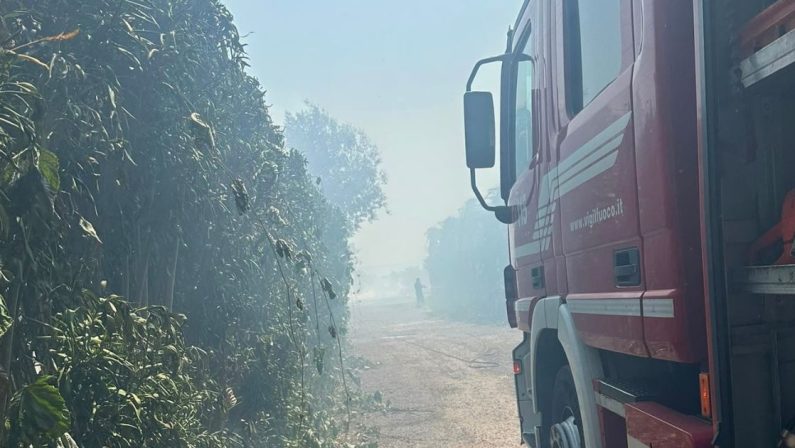 Vasto incendio a Lamezia, coinvolte serre, un fabbricato e la ferrovia