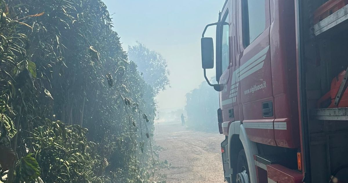 https://www.quotidianodelsud.it/wp-content/uploads/2026/07/incendio-lamezia-terme.jpg