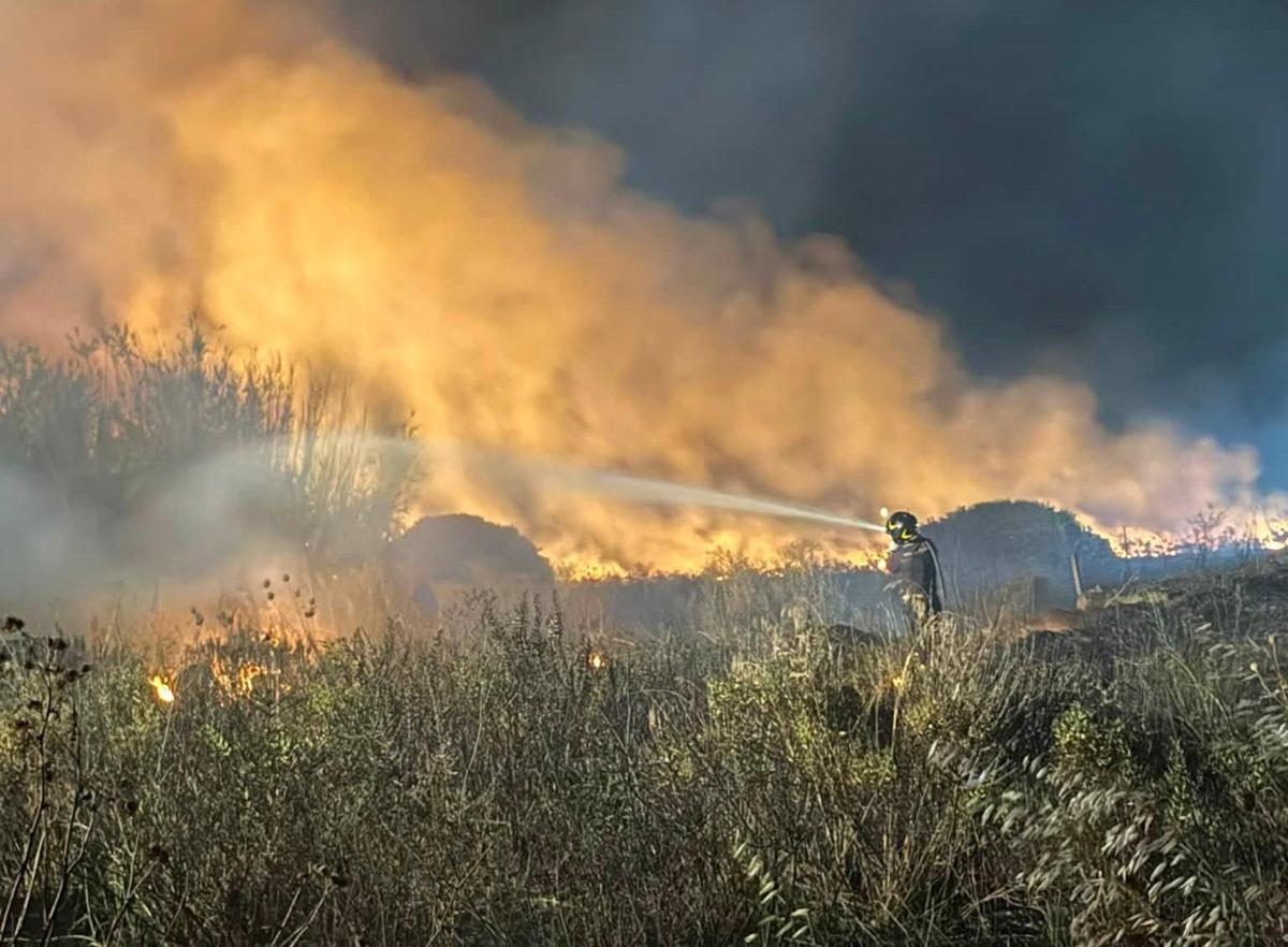 https://www.quotidianodelsud.it/wp-content/uploads/2026/07/incendio-maracalagonis-fb.jpeg