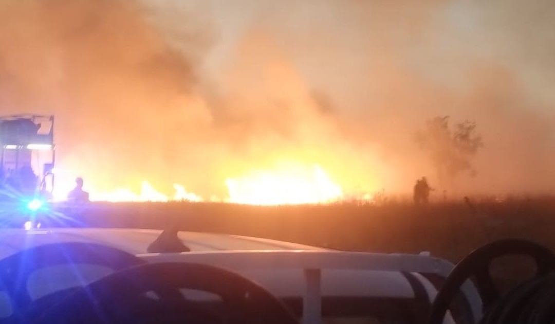 Le fiamme al Parco della Murgia