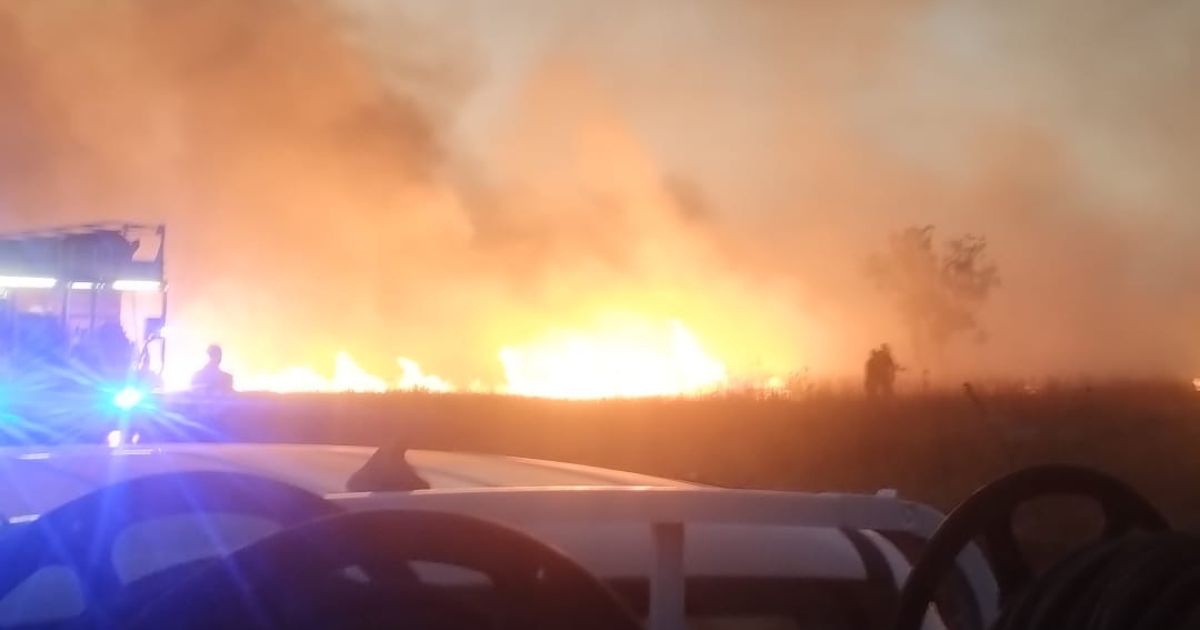 https://www.quotidianodelsud.it/wp-content/uploads/2026/07/incendio-parco-della-murgia.jpg