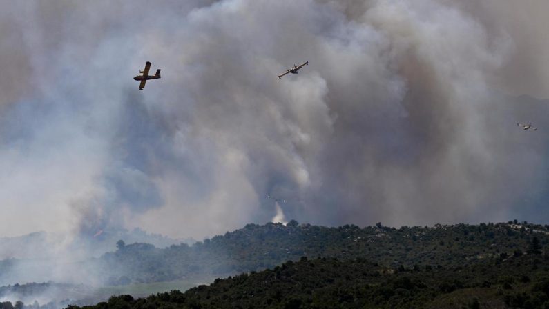 Incendi in Europa, emergenza in Francia e in Spagna: nei Pirenei bruciati 1.500 ettari