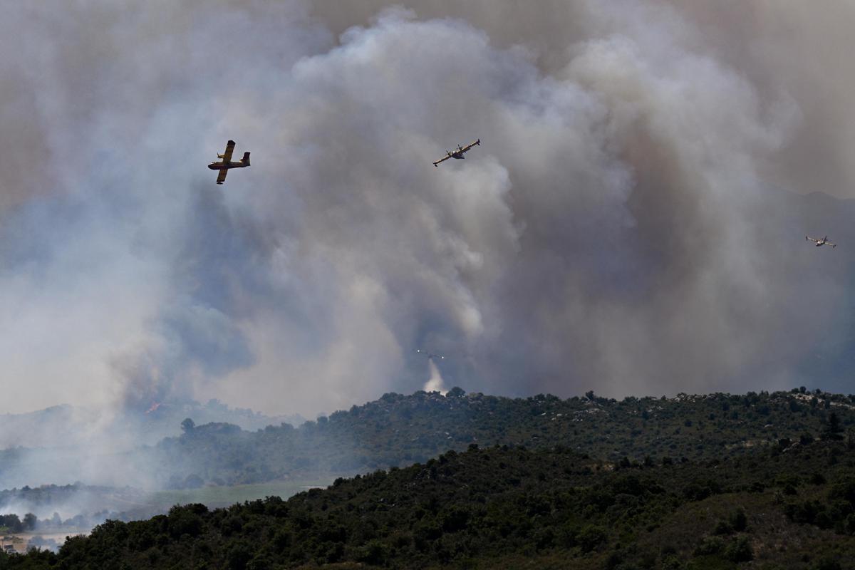 https://www.quotidianodelsud.it/wp-content/uploads/2026/07/incendio-pirenei-afp.jpeg
