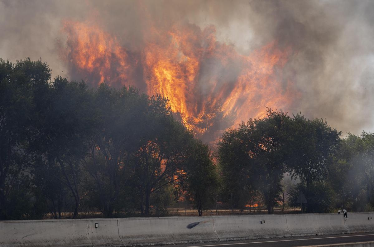 https://www.quotidianodelsud.it/wp-content/uploads/2026/07/incendio-spagna-3507.jpeg