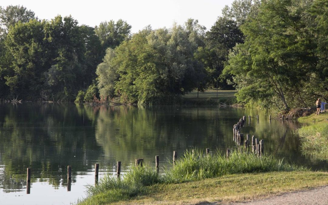 Milano, violentata mentre fa jogging al parco: si salva mordendo l’aggressore, arrestato 26enne