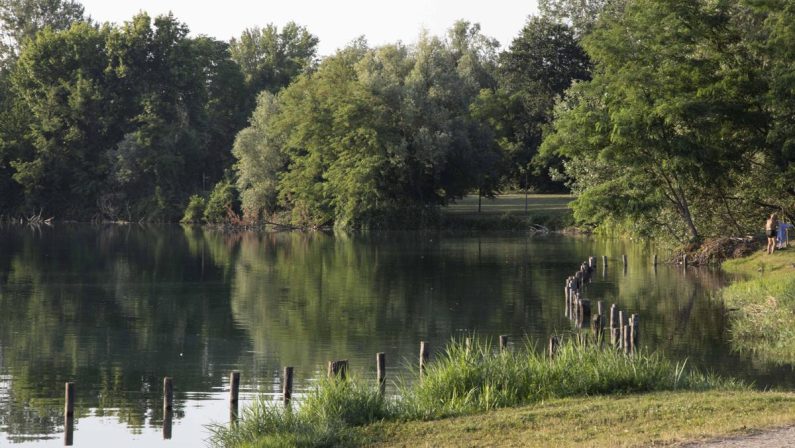Milano, violentata mentre fa jogging al parco: si salva mordendo l’aggressore, arrestato 26enne