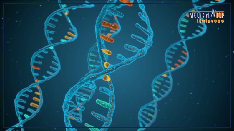 Miozzo “I test genetici sono strumenti fondamentali per contrasto alle malattie rare”