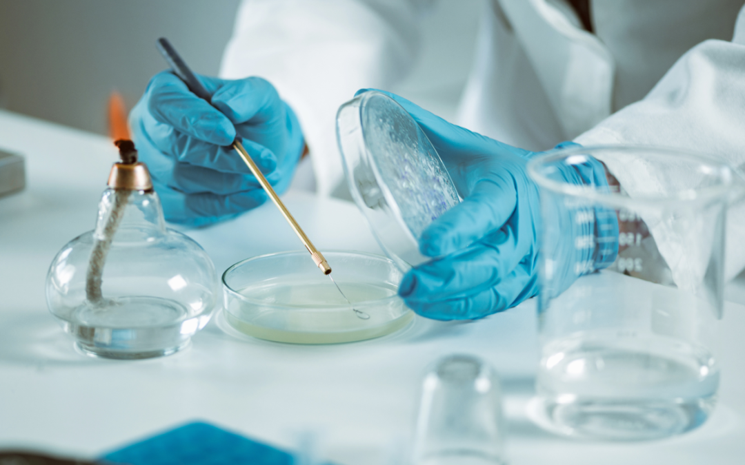 Linfoma mantellare, ‘con trattamento chemio-free in prima linea -43% rischio di progressione o morte’