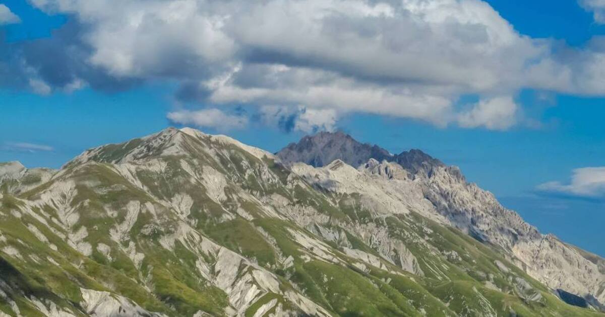 https://www.quotidianodelsud.it/wp-content/uploads/2026/07/licensed-image.jpg