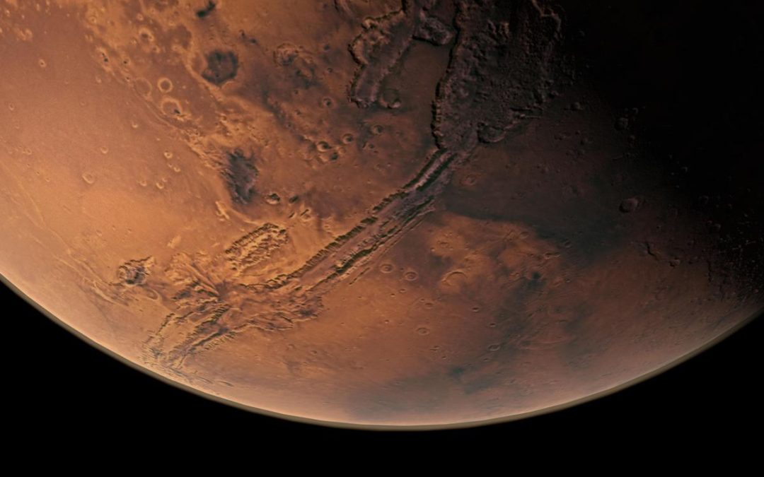 Tutti i segreti nella dieta degli astronauti, un’alga dalla Sardegna per conquistare Marte