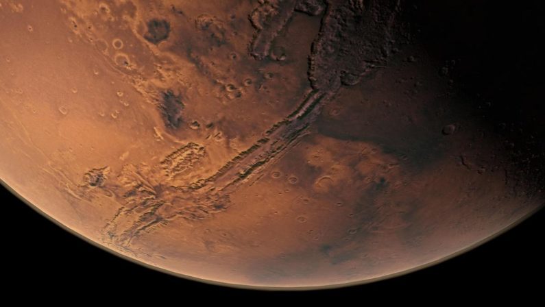 Tutti i segreti nella dieta degli astronauti, un’alga dalla Sardegna per conquistare Marte