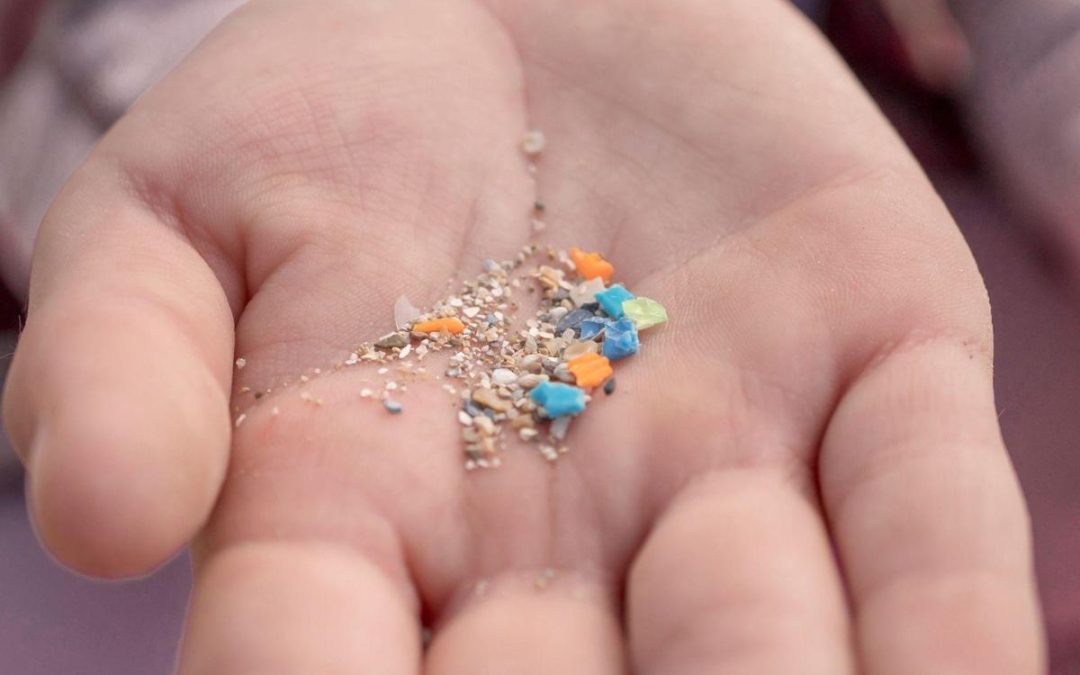 Salute, studio italiano: “Infarti più gravi con microplastiche, fumo e inquinamento”