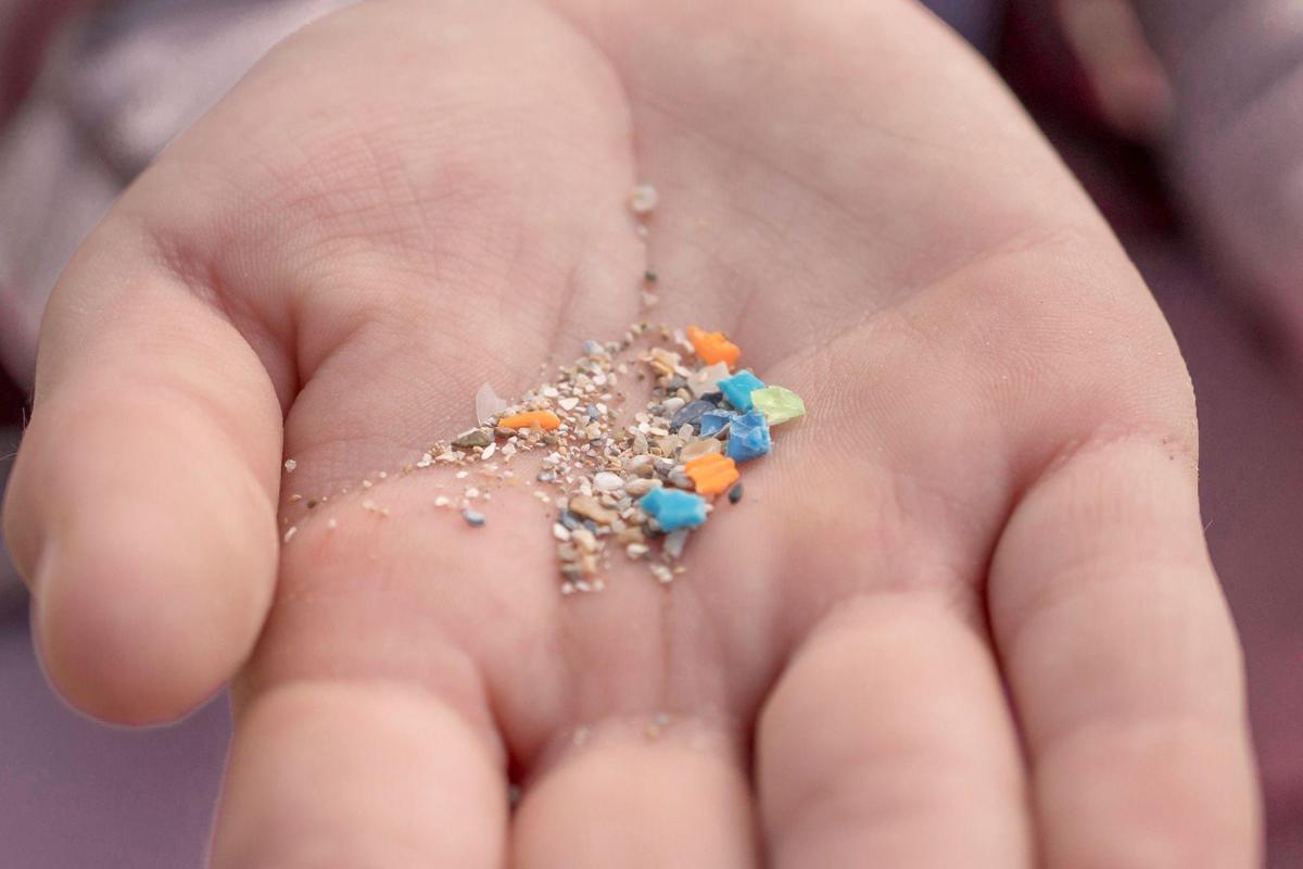 https://www.quotidianodelsud.it/wp-content/uploads/2026/07/microplastiche-corpo-canva.jpeg