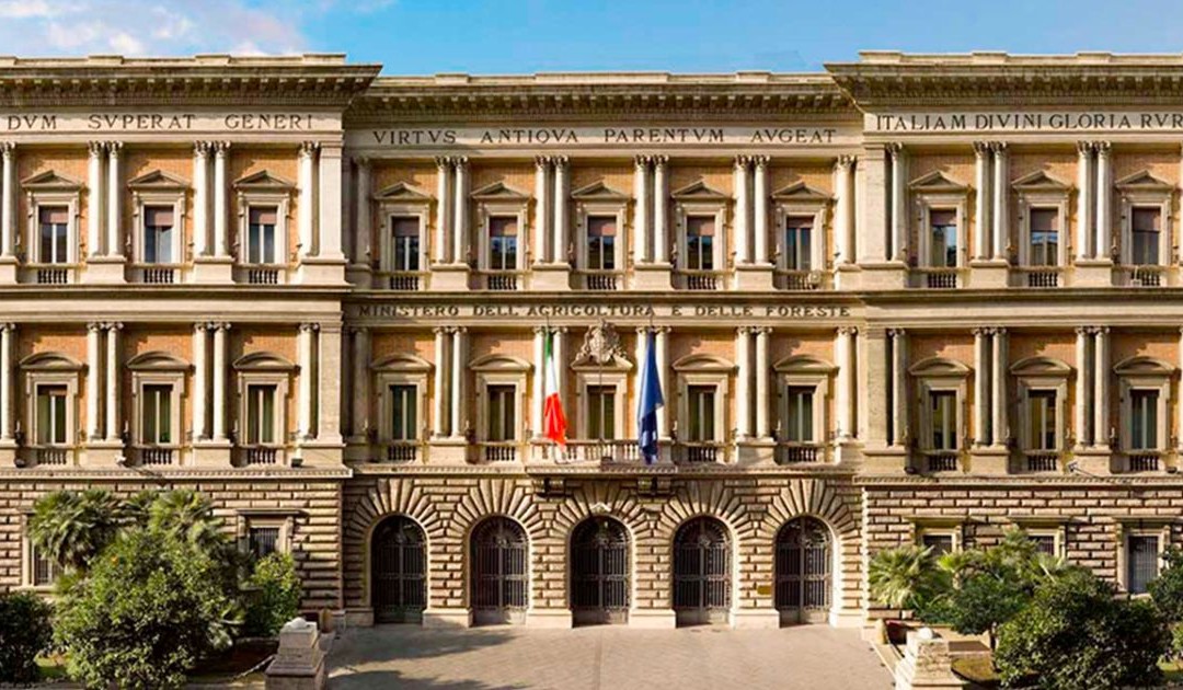 Il Masef