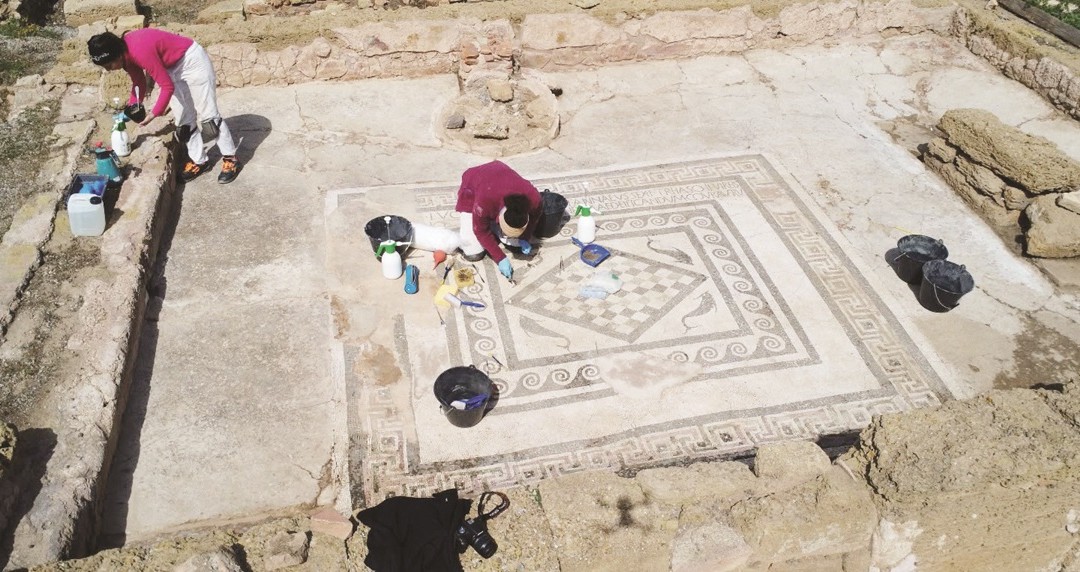Un particolare del murales con i delfini all’interno del Balneum l’antico impianto termale pubblico