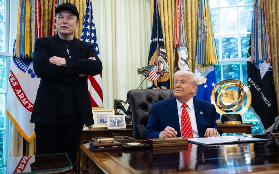 Stati Uniti, Musk aiuta Trump? Budget milionario per le elezioni di midterm