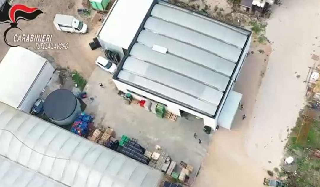 Operazione contro l’immigrazione clandestina: 22 misure cautelari tra Campania e nord Italia