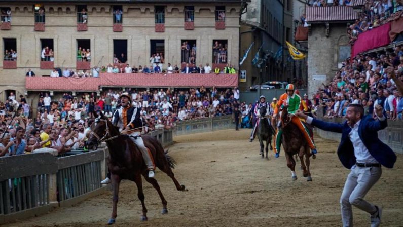 Palio di Siena oggi, orario e dove vederlo (in diretta): contrade, cavalli e fantini