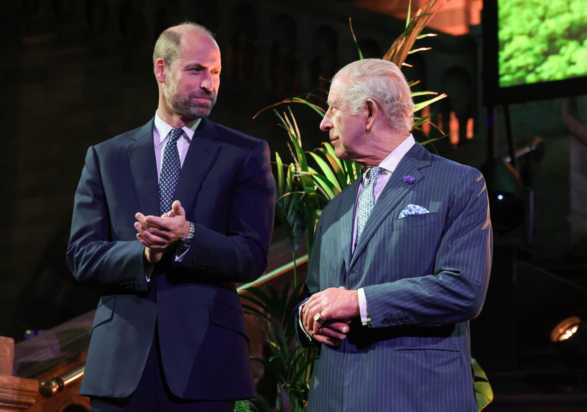 https://www.quotidianodelsud.it/wp-content/uploads/2026/07/principe-william-re-carlo-ipa-fg.jpeg