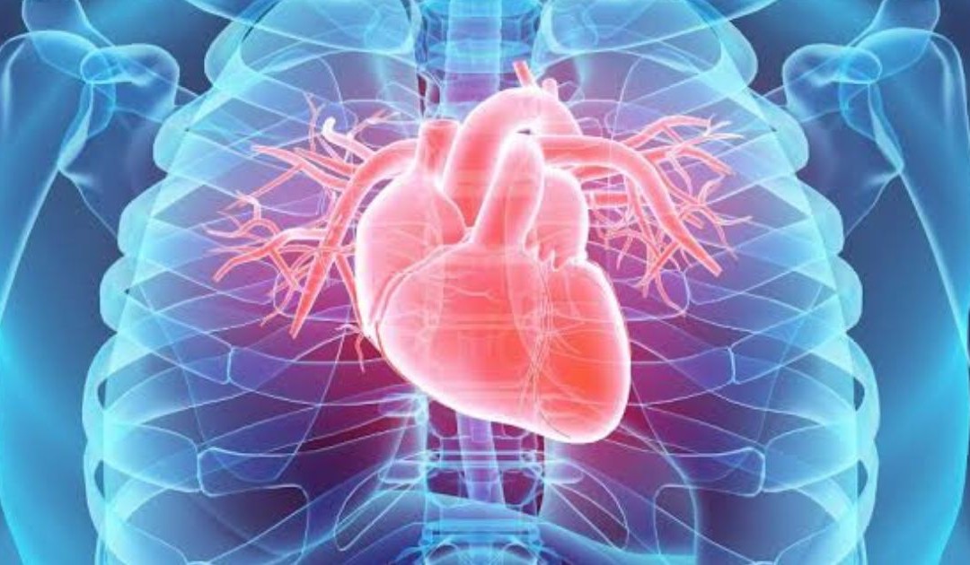 UNICAL VOICE – Nasce all’UniCal una nuova tecnologia per la diagnostica cardiaca