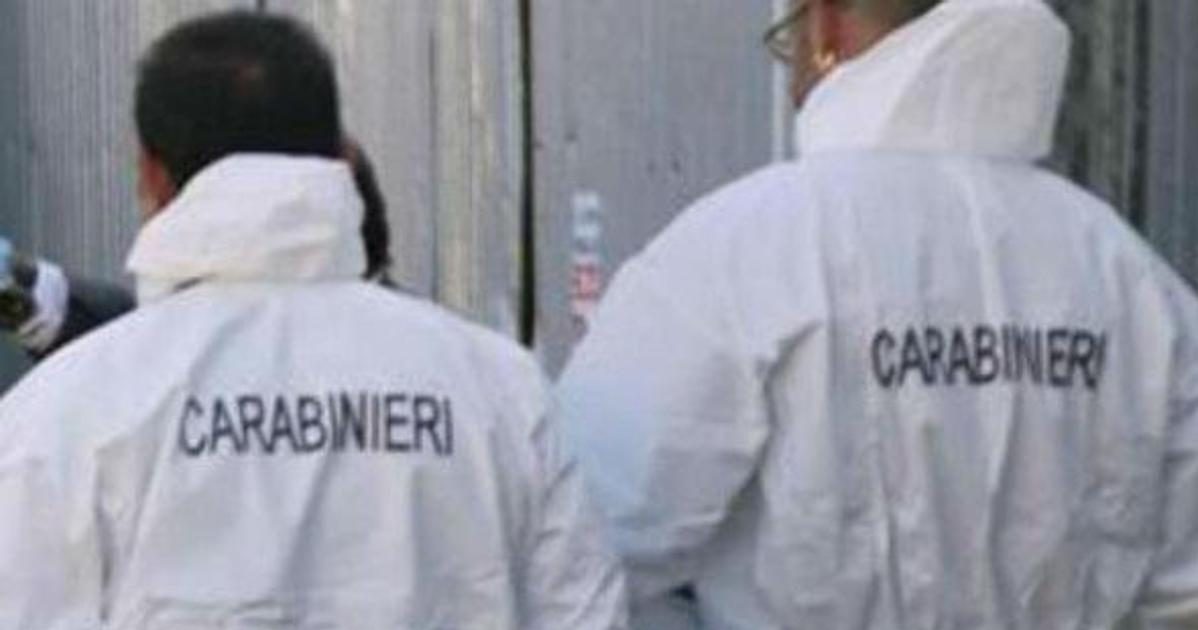 https://www.quotidianodelsud.it/wp-content/uploads/2026/07/ris-carabinieri-fg-e1787392642592.jpeg