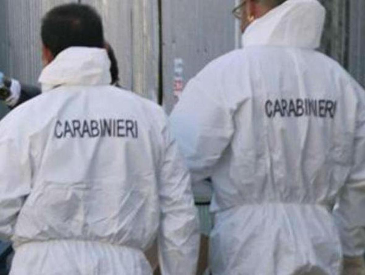 https://www.quotidianodelsud.it/wp-content/uploads/2026/07/ris-carabinieri-fg.jpeg