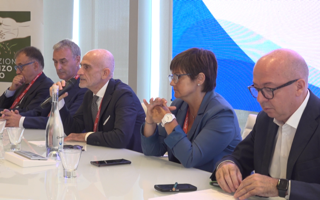 Dito (Inps): “Apprendistato duale può aiutare Neet a entrare in mondo lavoro”