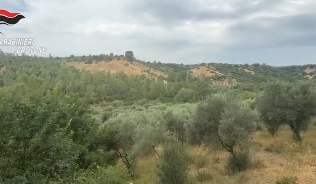 Terreni confiscati a Roccabernarda alla cosca Bagnato