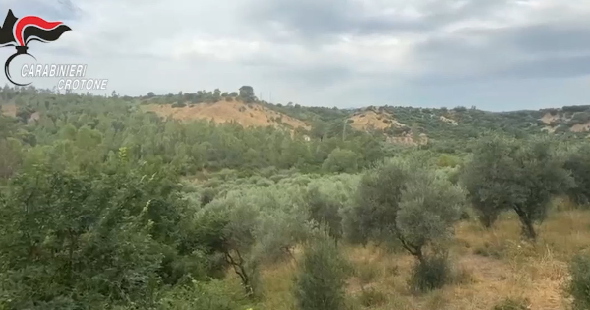 https://www.quotidianodelsud.it/wp-content/uploads/2026/07/roccabernarda-confisca.jpg