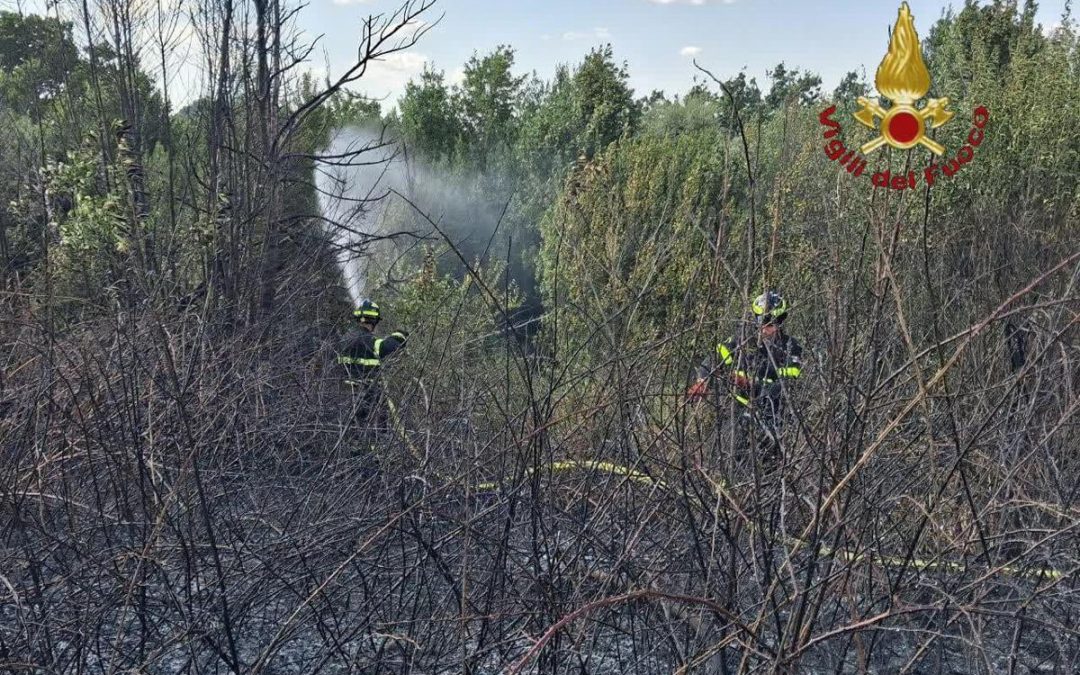 Roma, da via Pineta Sacchetti a Cinecittà: diversi incendi nella Capitale e dintorni