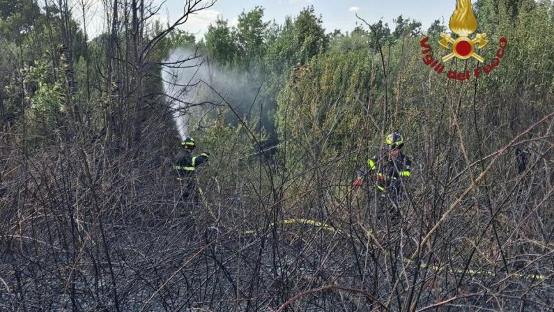 Roma, da via Pineta Sacchetti a Cinecittà: diversi incendi nella Capitale e dintorni