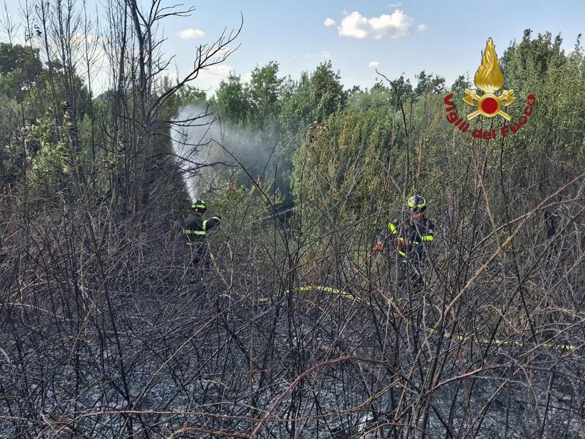 https://www.quotidianodelsud.it/wp-content/uploads/2026/07/roma-incendio-vvgg.jpeg