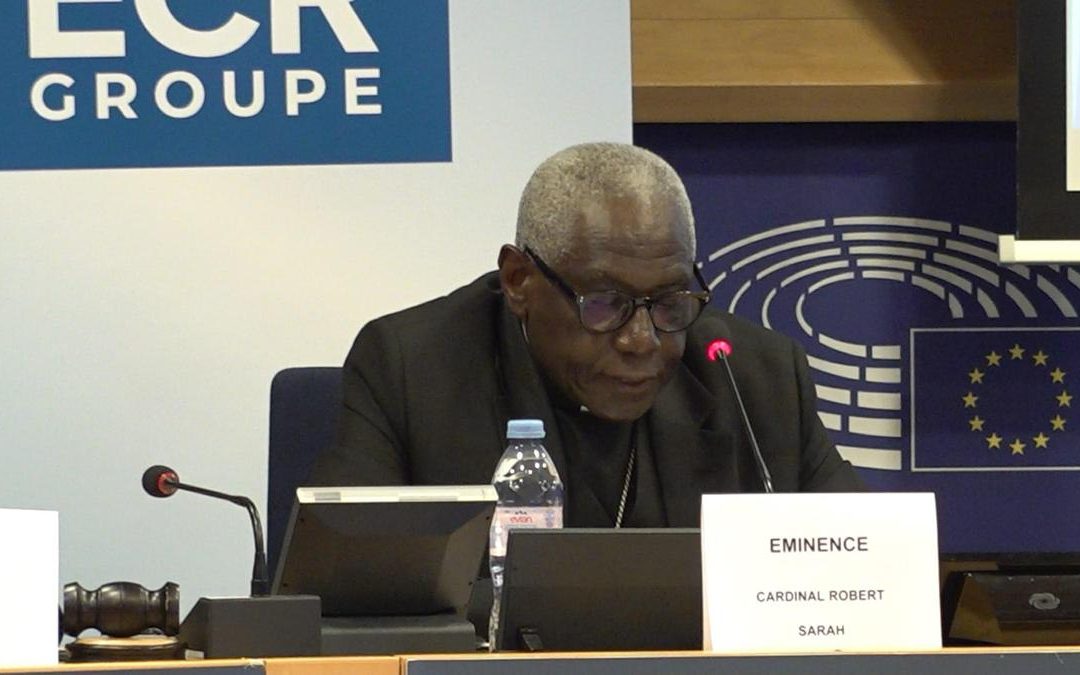 Ue, card. Sarah: “No a colonizzazione ideologica Africa, ma sussidiarietà autentica”