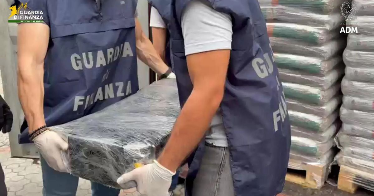 https://www.quotidianodelsud.it/wp-content/uploads/2026/07/sequestro-cocaina-porto-gioia-tauro.jpg